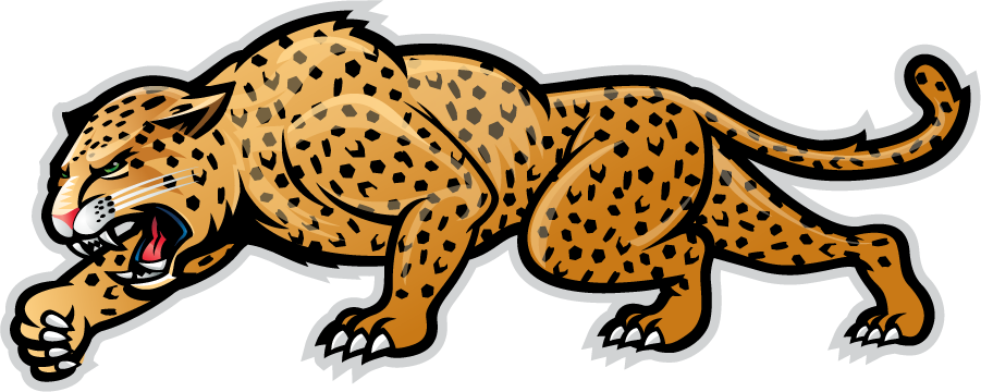 IUPUI Jaguars 2007-2017 Secondary Logo diy iron on heat transfer